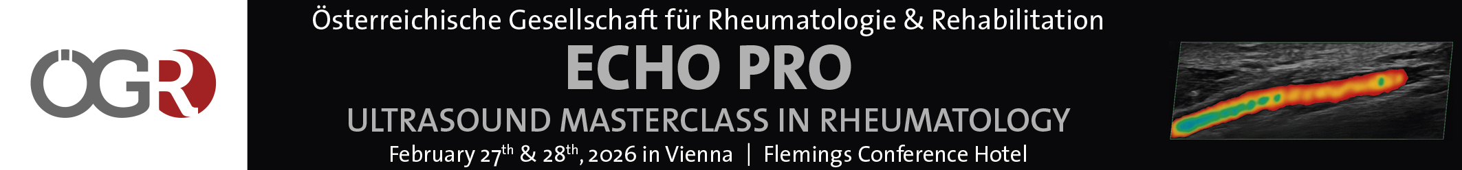 ECHO PRO Ultrasound Masterclass in Rheumatology